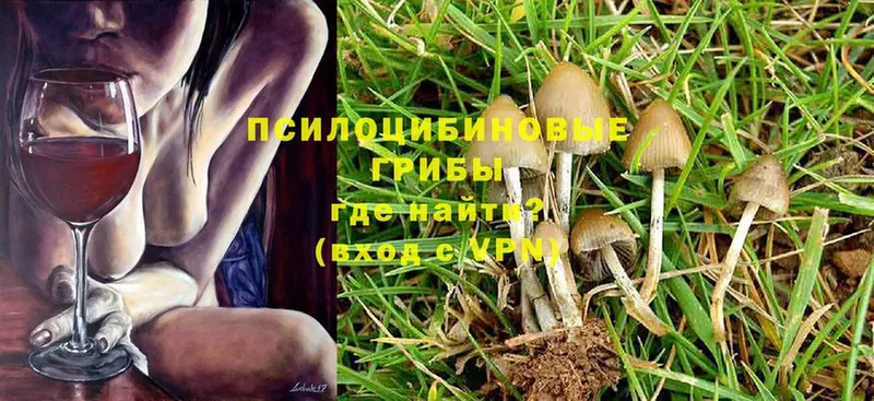 Галлюциногенные грибы MAGIC MUSHROOMS  Горячий Ключ 